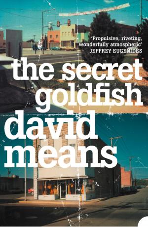 Book cover of The Secret Goldfish