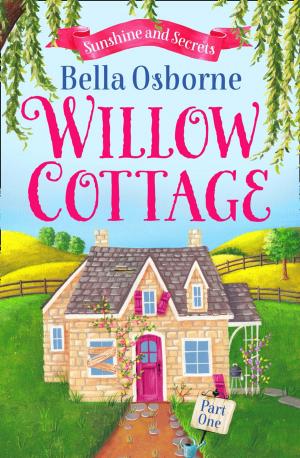 Cover of the book Willow Cottage – Part One: Sunshine and Secrets (Willow Cottage Series) by Heather Towne, Tudor, Rose de Fer, Mina Murray, Flora Dain, Morwenna Drake, Alegra Verde, Donna George Storey, Ludivine Bonneur