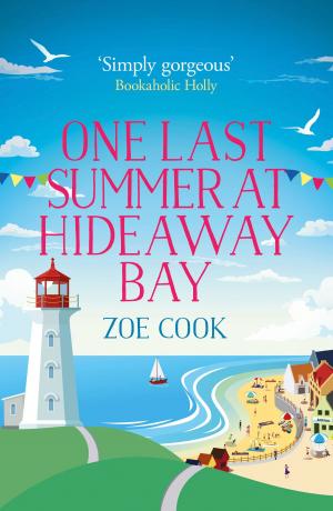 Cover of the book One Last Summer at Hideaway Bay by Lavinia Greenlaw