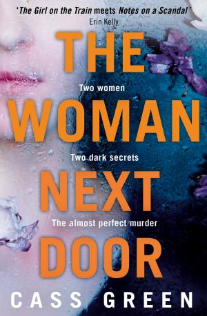 Cover of the book The Woman Next Door by Sarah Prineas