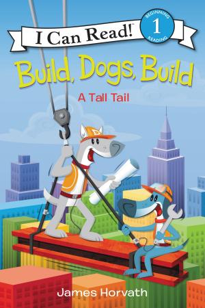 Book cover of Build, Dogs, Build