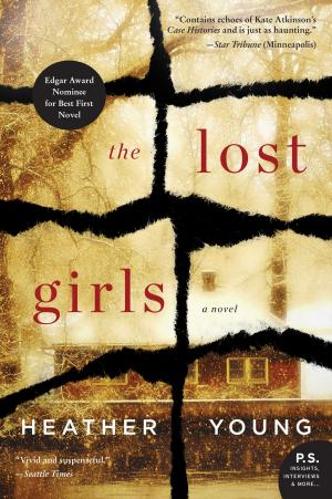 Cover of the book The Lost Girls by Melinda Wellesley