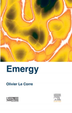 Cover of the book Emergy by 
