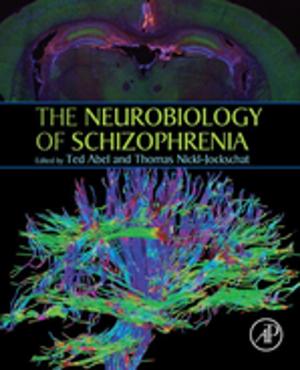 Cover of the book The Neurobiology of Schizophrenia by Dong Yuan, Yun Yang, Jinjun Chen