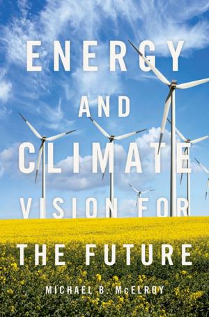 Cover of the book Energy and Climate by Sara Ahbel-Rappe