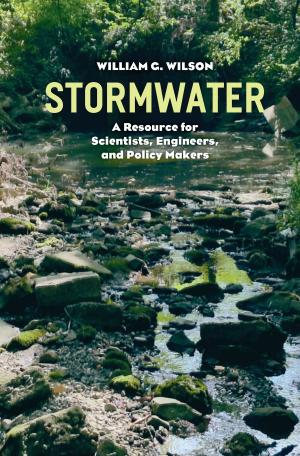 Cover of the book Stormwater by Alexis McCrossen