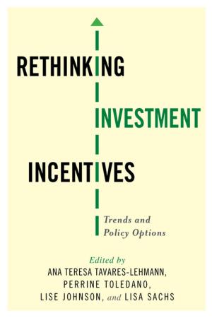Cover of the book Rethinking Investment Incentives by Michael Beech