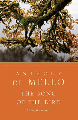 Cover of the book The Song of the Bird by Mike Mason