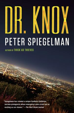 Cover of the book Dr. Knox by H.L. Mencken