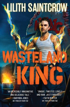 Cover of the book Wasteland King by Will McIntosh