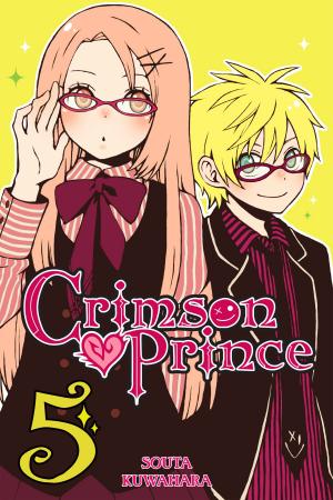 Cover of the book Crimson Prince, Vol. 5 by Reki Kawahara, Keiichi Sigsawa, Kohaku Kuroboshi