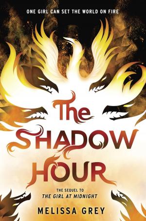 Cover of the book The Shadow Hour by Bonnie Bryant