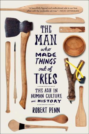 Cover of the book The Man Who Made Things Out of Trees by Orly Lobel