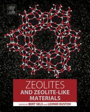 Cover of the book Zeolites and Zeolite-like Materials by Luis Vilcahuamán, Rossana Rivas