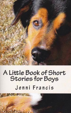 Book cover of A Little Book of Short Stories for Boys