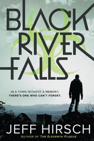 Cover of the book Black River Falls by Karina Yan Glaser