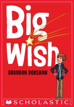Cover of the book Big Wish by Lia Black