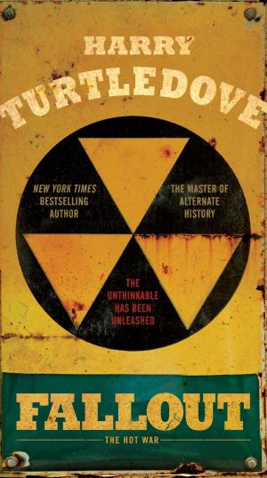Cover of the book Fallout by Dr. Angelo Acquista