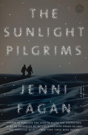 Book cover of The Sunlight Pilgrims