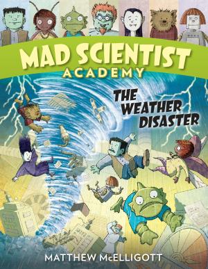 Book cover of Mad Scientist Academy: The Weather Disaster