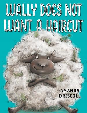 Cover of the book Wally Does Not Want a Haircut by Arwen Elys Dayton