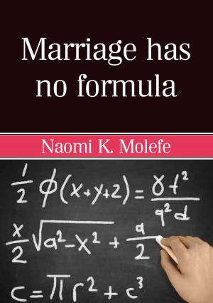 Book cover of Marriage Has No Formula