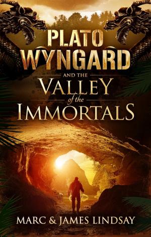 bigCover of the book Plato Wyngard and the Valley of the Immortals by 