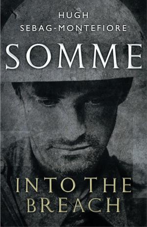 Cover of the book Somme by Robert A. Ferguson