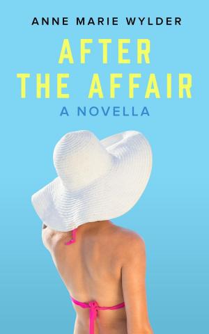 Cover of the book After the Affair by L.M. Nelson