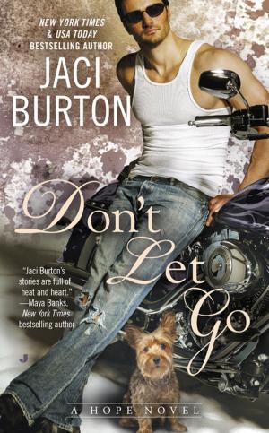 Cover of the book Don't Let Go by Anita Claire