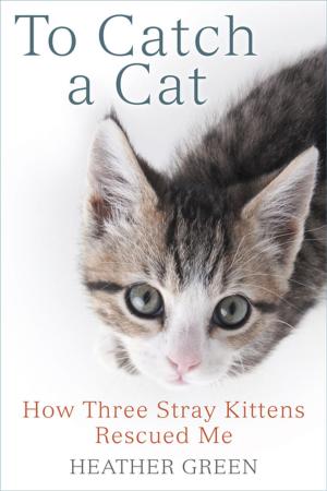 Cover of the book To Catch a Cat by Katherine Harmon Courage