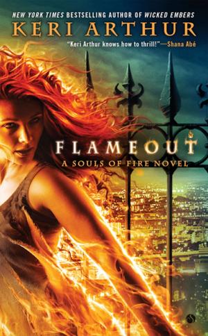 Cover of the book Flameout by Paul Downs