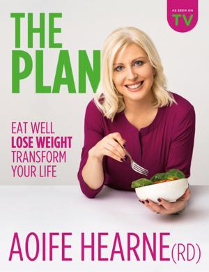 Cover of the book The Plan by Jennifer Lehner Consulting