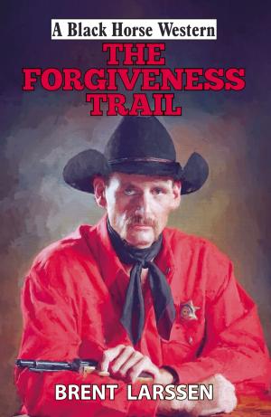 Cover of the book The Forgiveness Trail by Patrick Hulbert