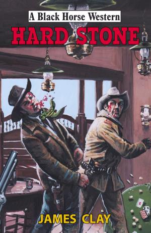 Cover of the book Hard Stone by B.S. Dunn