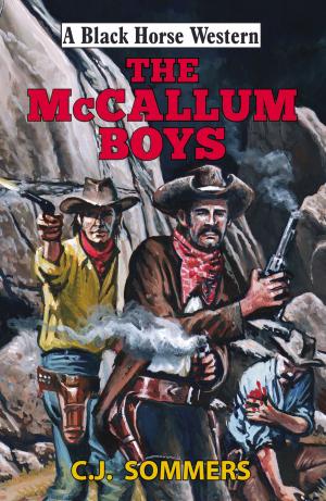 Cover of the book The McCallum Boys by Colin Bainbridge