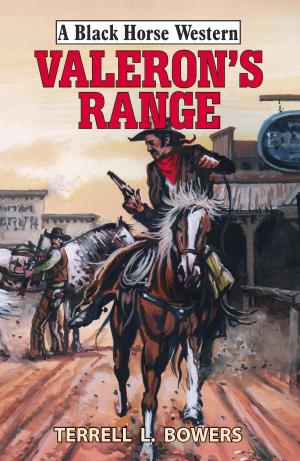 Cover of the book Valeron's Range by Brent Towns
