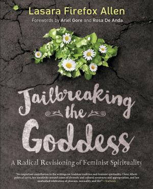 Cover of the book Jailbreaking the Goddess by Melissa Alvarez