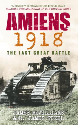 Cover of the book Amiens 1918 by F. Marshall Bauer