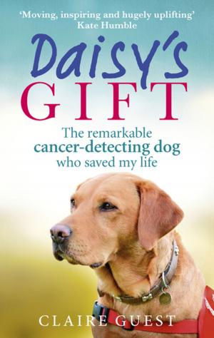Cover of the book Daisy’s Gift by Guy Martin