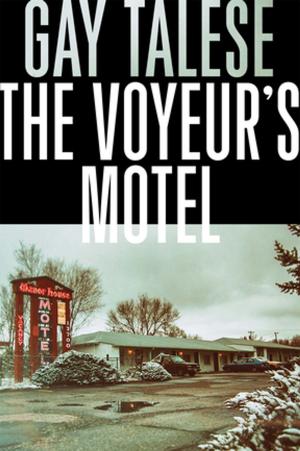 Book cover of The Voyeur's Motel