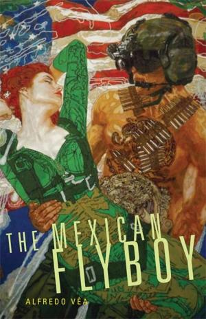 Cover of the book The Mexican Flyboy by Janne Lahti