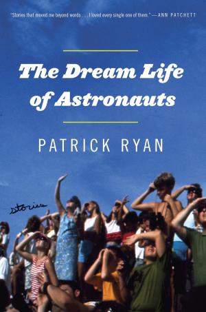 Book cover of The Dream Life of Astronauts