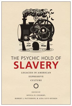 Cover of the book The Psychic Hold of Slavery by Jennifer Ann Ho
