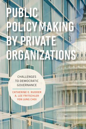 Cover of the book Public Policymaking by Private Organizations by 