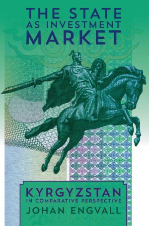 Book cover of The State as Investment Market