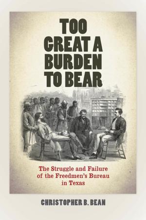 Cover of the book Too Great a Burden to Bear by 