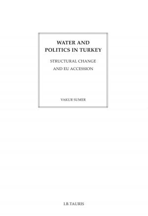 Cover of the book Water and Politics in Turkey by Stephen Clarke