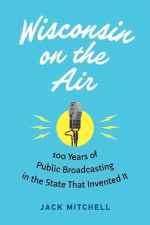Cover of the book Wisconsin on the Air by John Gurda
