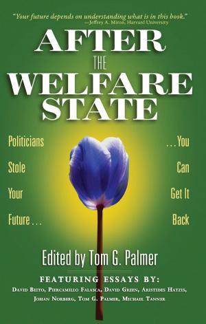 Book cover of After the Welfare State: Politicians Stole Your Future, You Can Get It Back